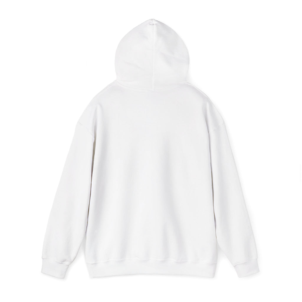 Back to Basics Bicycle Hoodie – Vintage Bike Graphic Pullover