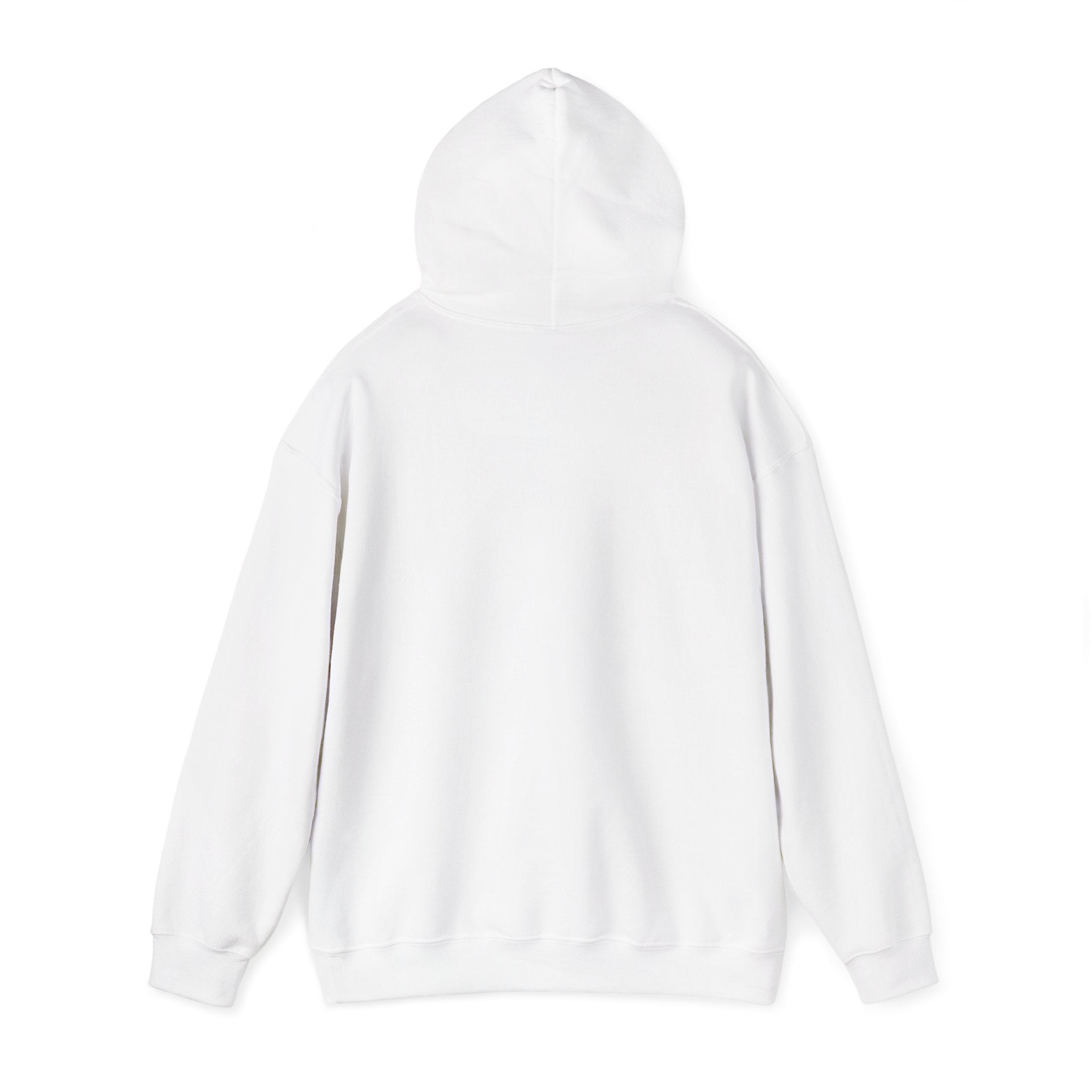 Back to Basics Bicycle Hoodie – Vintage Bike Graphic Pullover