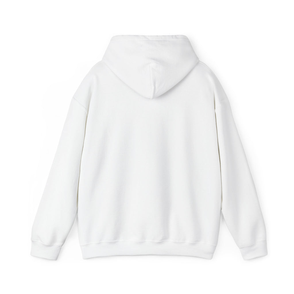 Back to Basics Bicycle Hoodie – Vintage Bike Graphic Pullover