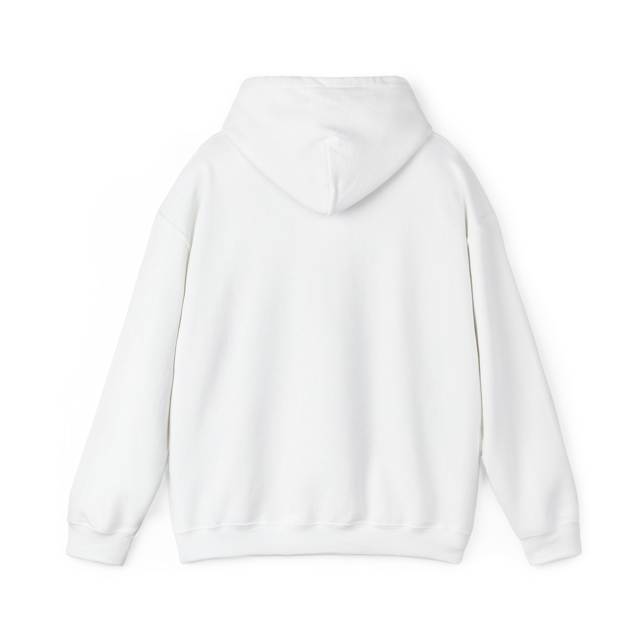 Back to Basics Bicycle Hoodie – Vintage Bike Graphic Pullover